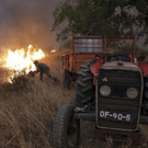 Portugal_Wildfires_94008.jpg