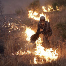 Portugal_Wildfires_35556.jpg