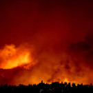 AFP_R01J4.jpg