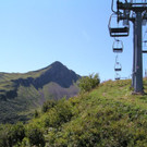 P1010026.JPG