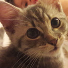 20170727_103126.jpg