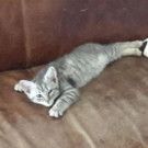 20170706_175756.jpg