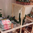 20170728_100202.jpg