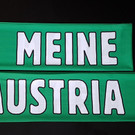 Schal-MeineAustria2.jpg