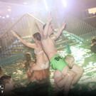 IMG_9174_jpg-1501418157.jpg