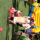 IMG_2362 _Copy__JPG-1501438874.jpg