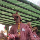 502855.jpg