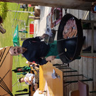 Grillen 2017 _6_.jpg