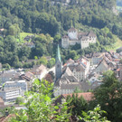 Im Hirschgehege