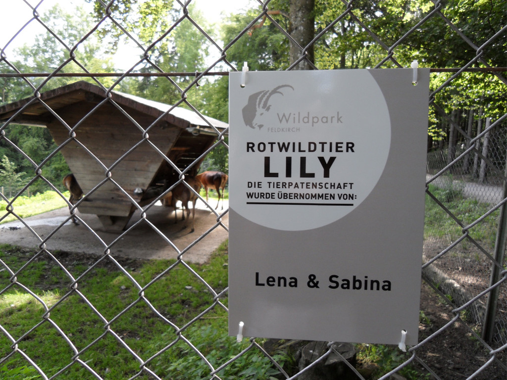 KOE_Wildark Patenschaft Hirschtier Lily 3.jpg