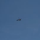 IMG_3240.JPG