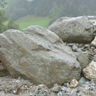 ABD0081-20170806.jpg