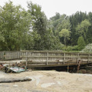 ABD0046-20170806.jpg