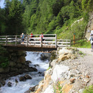 IMG_8448.JPG