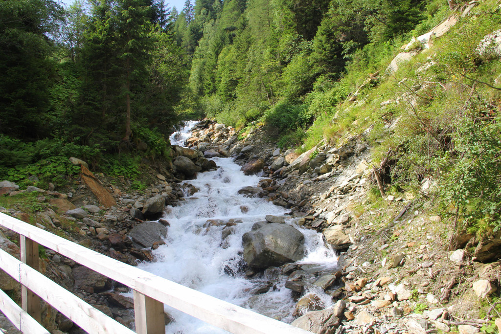 IMG_8449.JPG