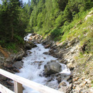 IMG_8449.JPG