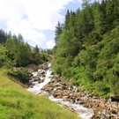 IMG_8461.JPG