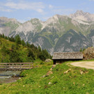IMG_8529.JPG