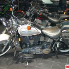 519182.jpg