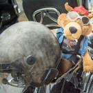 Harley_Salzburg_2017-11.jpg