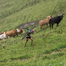 Bilder Outdoortrophy