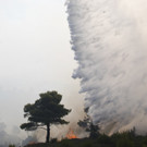 waldbrand-athen-griechenland _4_.jpg