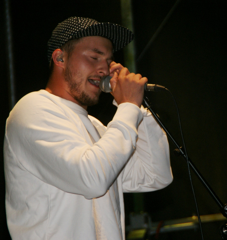 Lukas Klestil - The Informal Thief.JPG