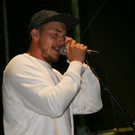 Lukas Klestil - The Informal Thief.JPG