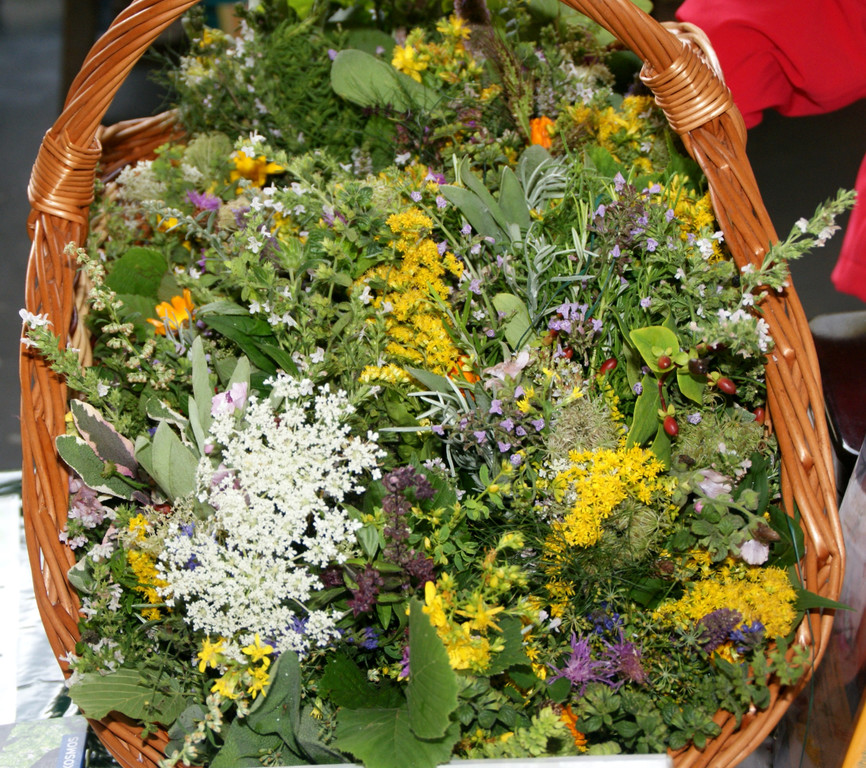 Ein bet__rendes Kr__uteraroma __berzog den Kirchplatz.JPG