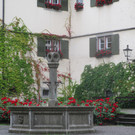IMG_8920.JPG