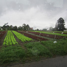 IMG_8934.JPG