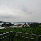 IMG_8953.JPG