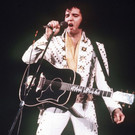 Elvis_Plane_Auction_50951.jpg