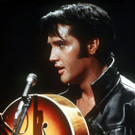 Elvis_Auction_NYET240.jpg