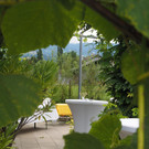 P8120001.JPG