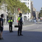 Spain_Barcelona_Pedestrians_Hit_36539.jpg