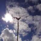 KOE_Kirchturm Altenstadt saniert 8.jpg
