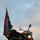 image11232-1.jpg