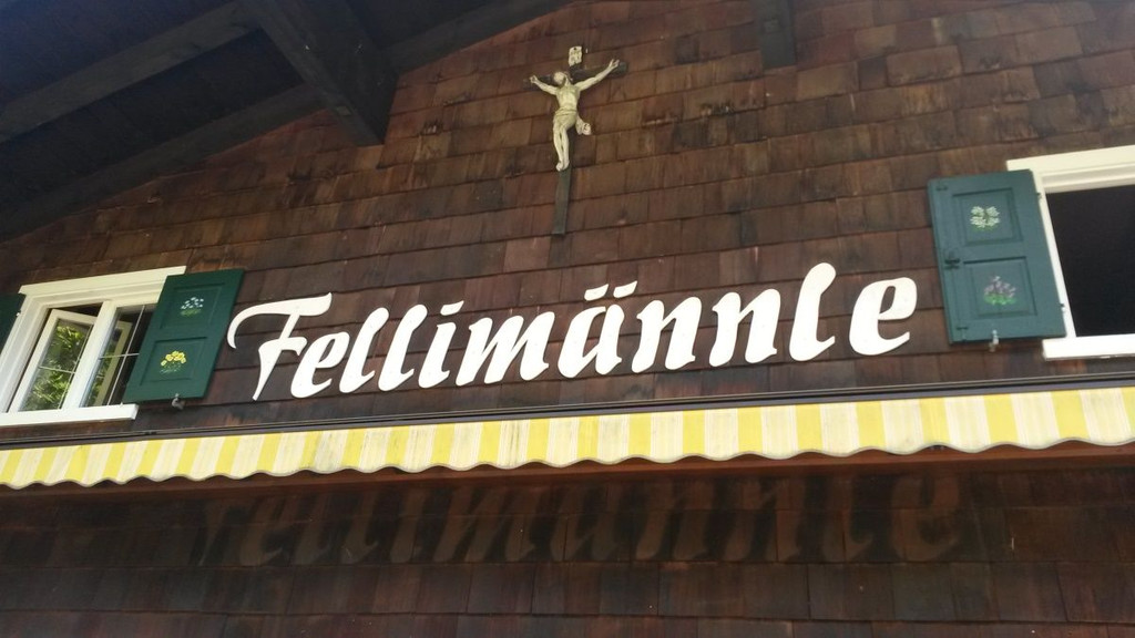 feli16.jpg