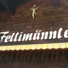 feli16.jpg
