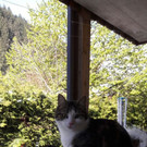 IMG-20170429-WA0005.jpg