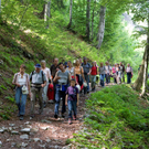 wanderung6.jpg