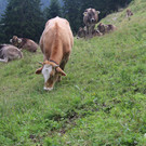 IMG_8979.JPG