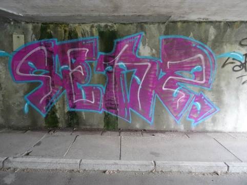 21_08_2017 - PI Stockerau_ Foto 5.jpg