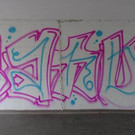 21_08_2017 - PI Stockerau_ Foto 7.jpg