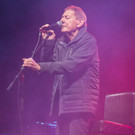 Wolfgang Ambros  _12 von 43_.jpg