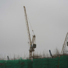 AFP_RR779.jpg