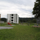 IMG_5504.JPG