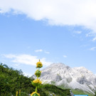 LechZuers Tourismus by Daniel Kocher _15_ NEURURER.jpg