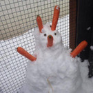 Winter bei der KleinTierHilfe